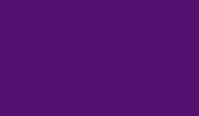 PURPLE Poplin 23 metre ROLL